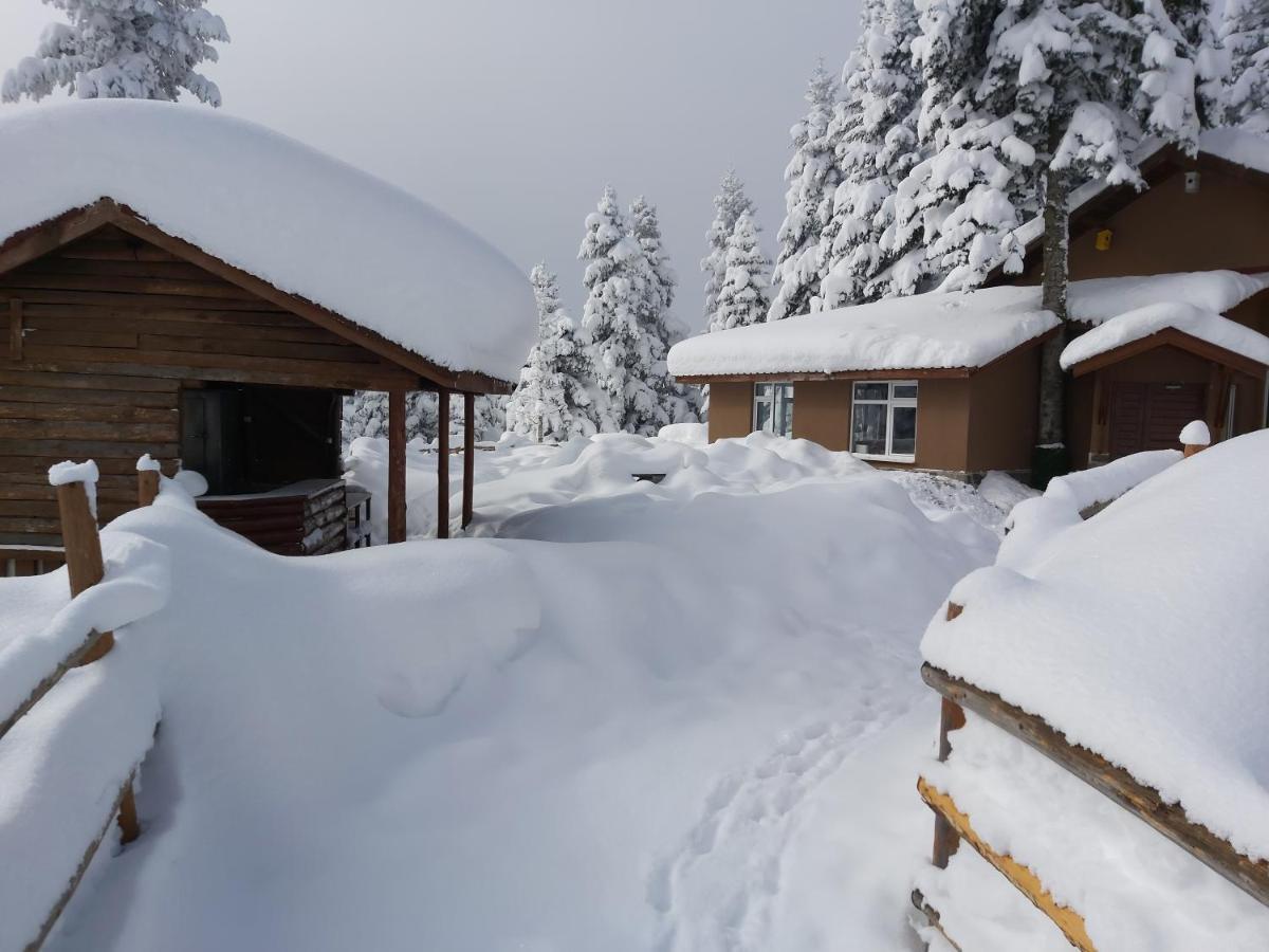 Elifim Resort Hotel Болу Екстер'єр фото