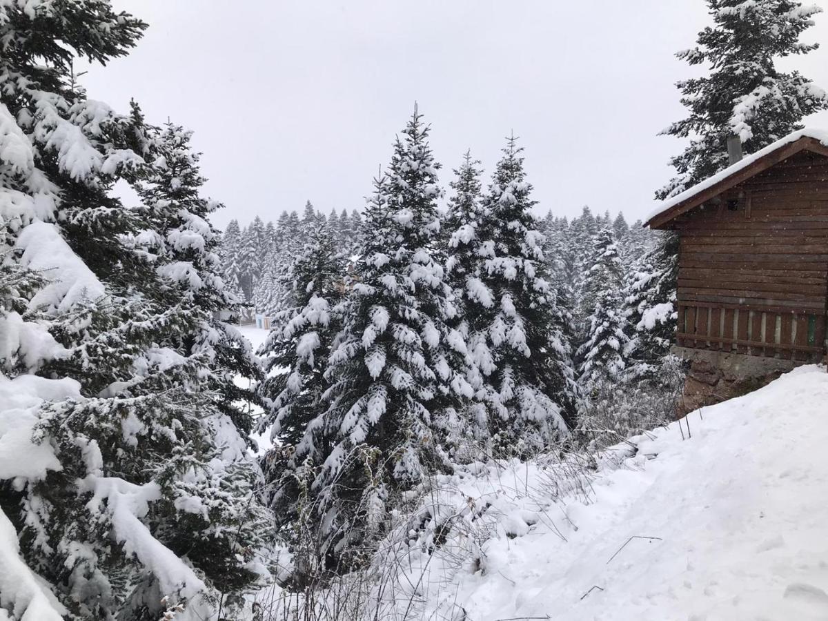Elifim Resort Hotel Болу Екстер'єр фото